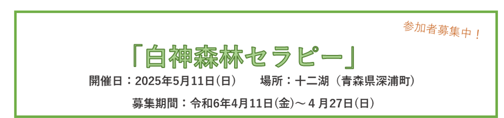 期間限定お知らせ情報