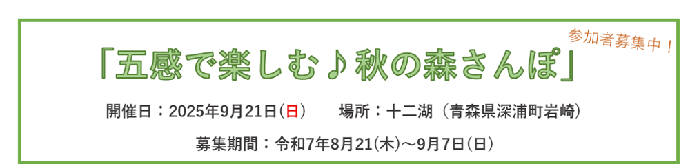 期間限定お知らせ情報