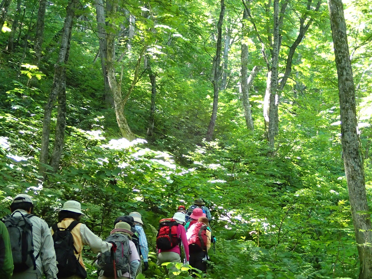 ②かつての山道は時々踏み跡が途切れている。