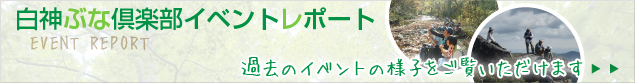 白神ぶな倶楽部活動レポートを見る
