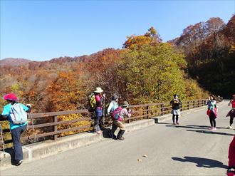 白神の紅葉の中で記念撮影。（赤石大橋にて）