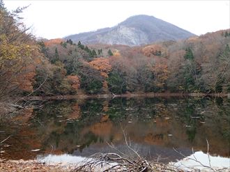 日暮の池と大崩を観賞。