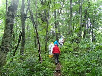 雨が強くなった為、場所変更し、遺伝資源保存林を散策しました。