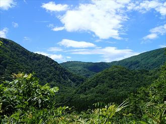 峠からの眺め。