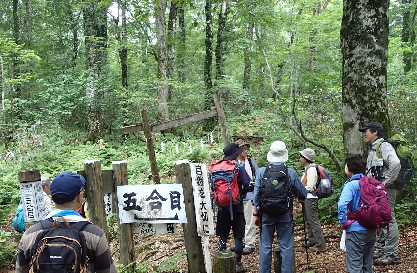 五合目、信仰の山に相応しく鳥居が設けられている。