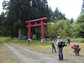 登山道は大きな鳥居から始まる。