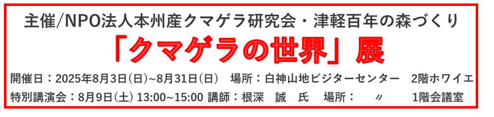 期間限定お知らせ情報