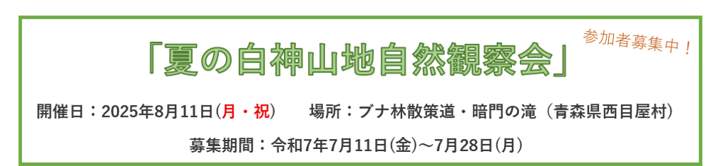 期間限定お知らせ情報