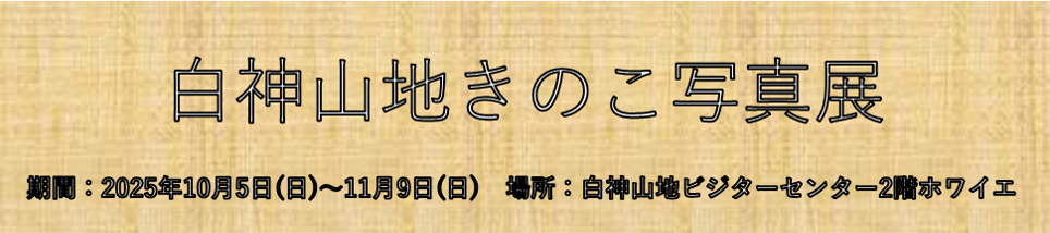 期間限定お知らせ情報