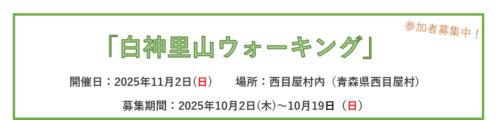 期間限定お知らせ情報